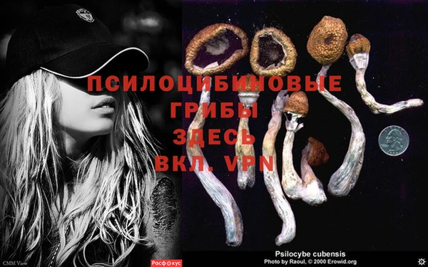 MESCALINE Новозыбков