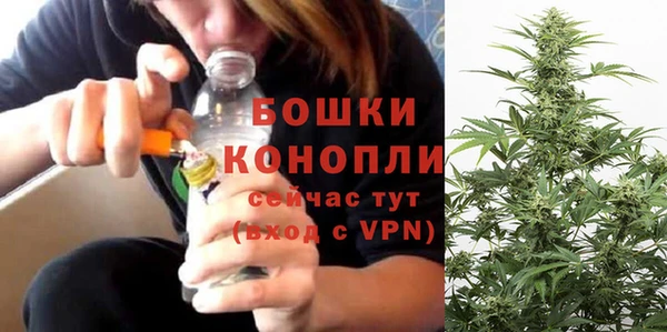 MESCALINE Новозыбков