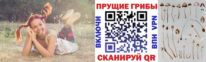 Псилоцибиновые грибы Magic Shrooms  Партизанск 